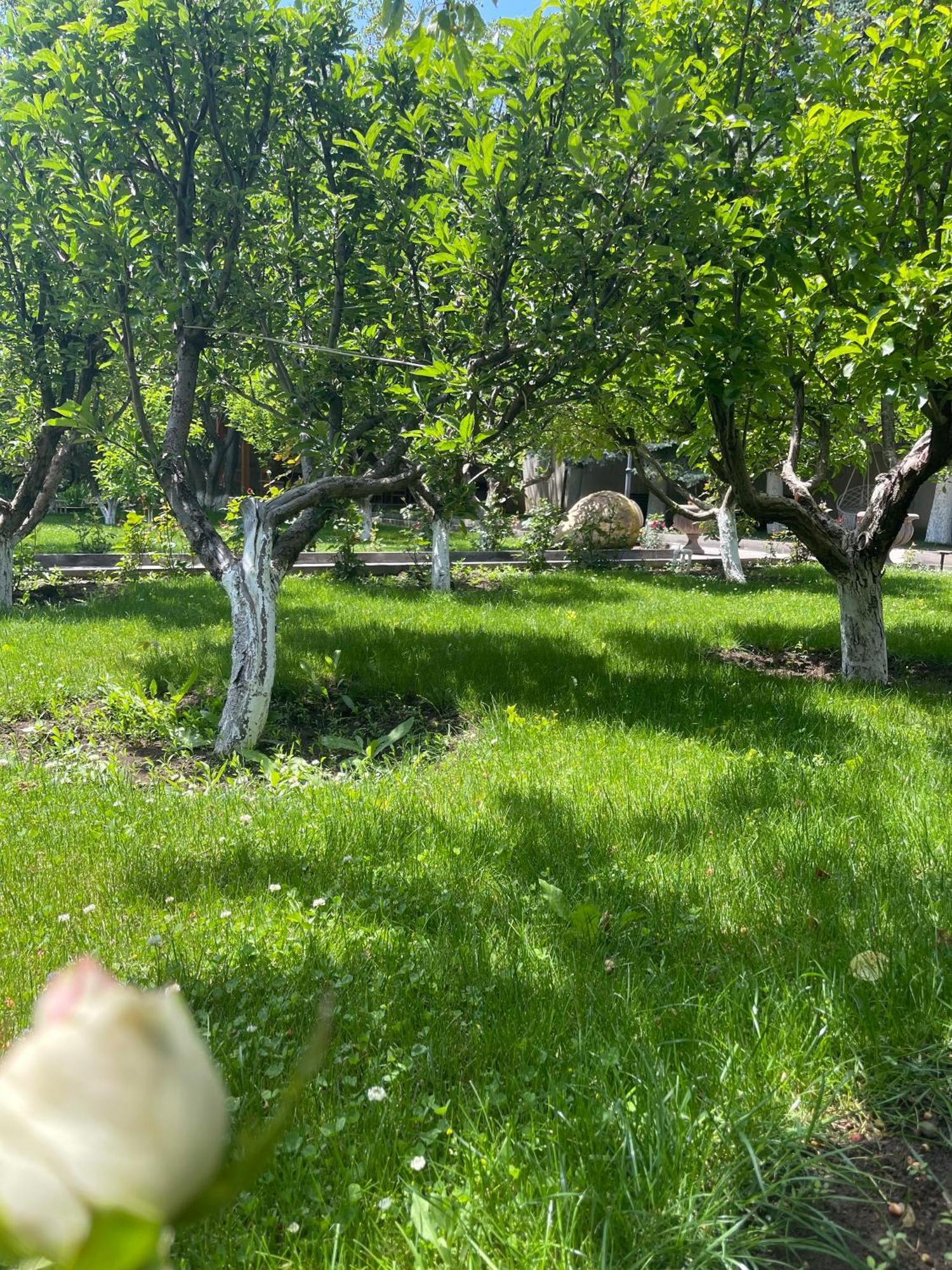 In Gyumri Otel Dış mekan fotoğraf